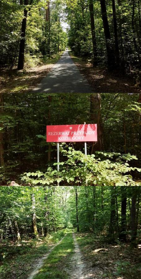 Agroturystyka U Izabelli Niemce Buitenkant foto